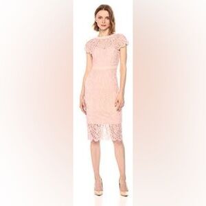 Bebe Lace Bodycon Dress